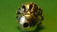 Massive Solid Gold Bead/pendant High Ct 5.  11 Grams Roman photo 1