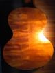 Rare Old German Guitar - Early 20th Century String photo 2