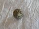 Antique Brass Button Cricket Cage 126 - B Buttons photo 1