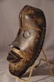 Fine Antique African Tribal Dan Passport Mask,  Cote D ' Ivoire Other African Antiques photo 2