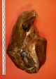 Two Handed 23cm,  Early Acheulian Biface (lct) Large Cutting Tool C700k Neolithic & Paleolithic photo 3