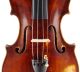 , Antique Antonius Sgarbi Italian 4/4 Old Master Violin - Geige,  小提琴 String photo 2