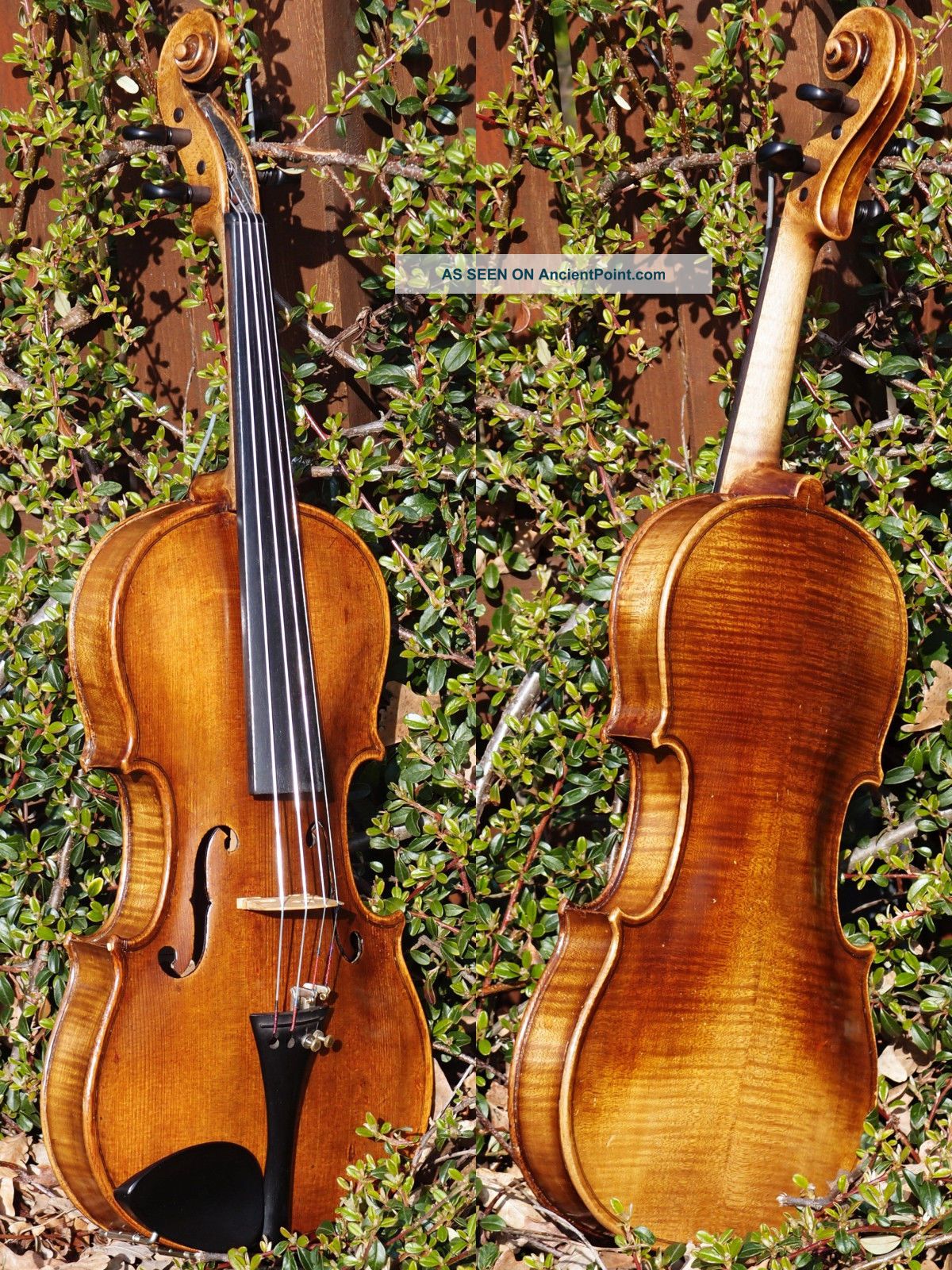Fine & Rare Antique Violin By Ladislav F.  Prokop,  Chrudim 1917.  Tone String photo