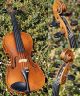 Fine & Rare Antique Violin By Ladislav F.  Prokop,  Chrudim 1917.  Tone String photo 6