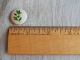 Antique Vintage Button Wood With Acorns Back Marked 1018 - A Buttons photo 3
