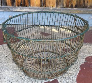 Very Large Vintage Oyster Gathering Basket Old Green Paint Circa 1940 ' S photo