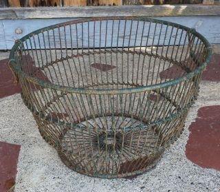 Large Vintage Oyster Gathering Basket Green Paint Circa 1940 photo