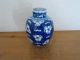 Chinese Porcelain Prunus Blossom Ginger Jar,  With Double Ring Kangxi Base Mark. Vases photo 3