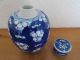 Chinese Porcelain Prunus Blossom Ginger Jar,  With Double Ring Kangxi Base Mark. Vases photo 4