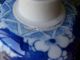 Chinese Porcelain Prunus Blossom Ginger Jar,  With Double Ring Kangxi Base Mark. Vases photo 6