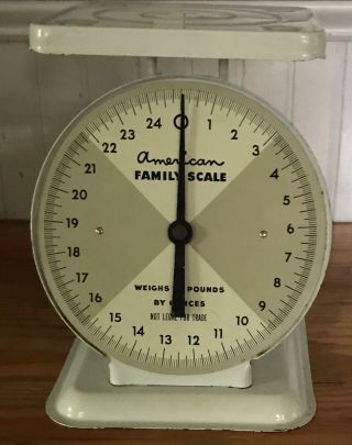 Vintage 25 Pound American Family Collectible Kitchen Scale photo