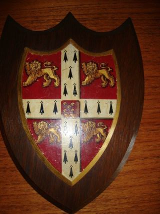 Cambrige University Coat Of Arms Circa 1900 Large - Heraldry Knight Shield Lion photo