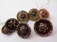 Vintage Mixed Variety Of Buttons,  Glass,  Marcasite,  Metal,  Shell & More Buttons photo 1