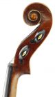 , Antique 4/4 Old Italian School Violin - Geige,  Fiddle,  小提琴 String photo 7
