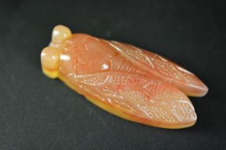 Intricately Carved Chinese Natural Huanglong Jade Cicada Lucky Pendant Jp238 photo