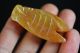 Intricately Carved Chinese Natural Huanglong Jade Cicada Lucky Pendant Jp238 Necklaces & Pendants photo 2
