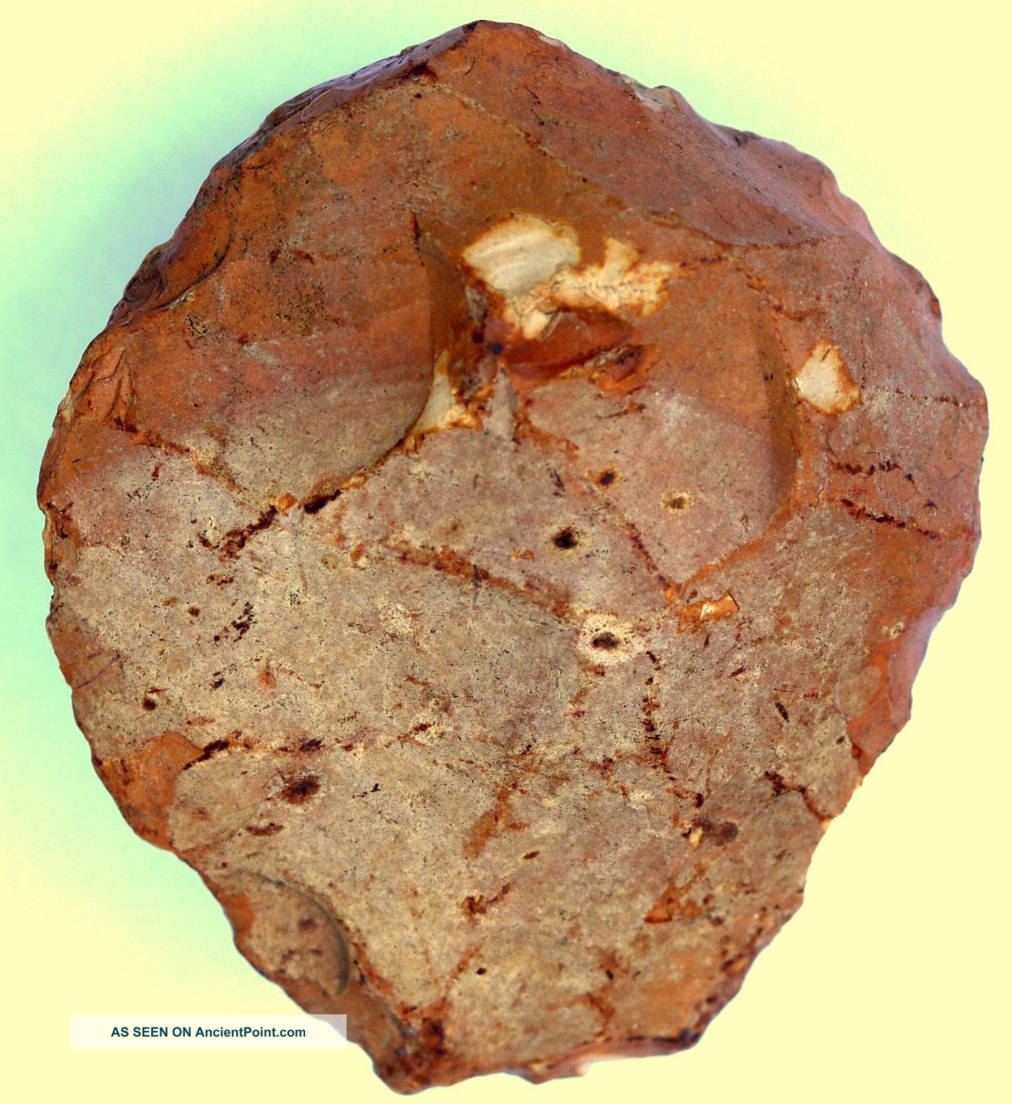 241 Gram Almond Shape Hand Axe Scraper Neanderthal Paleolithic Tool Neolithic & Paleolithic photo
