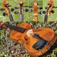 120,  Years Old Antique German Violin (prob.  From Vogtland / Saxony) Splendid Tone String photo 8