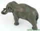 Antique Meriden Brittania Silverplate 409g Elephant Figural Paperweight Other Antique Silverplate photo 6