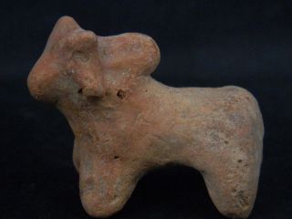 Ancient Teracotta Bull Indus Valley 800 Bc Stc429 photo