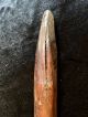 Antique Adze For Sago Food Green Stone From Sepik River Papua Guinea Axe Pacific Islands & Oceania photo 8