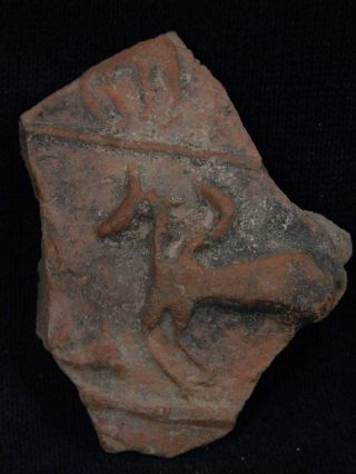 Ancient Indus Valley C.  700 Bc Teracotta Horse Tr696 photo