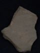 Ancient Indus Valley C.  700 Bc Teracotta Horse Tr696 Near Eastern photo 4