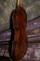 Old Antique Violin Testore 1756 String photo 2