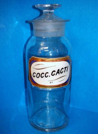 Antique Apothocary Bottle/jar Cocc.  Cacti.  J Quinlan York Label Under Glass photo