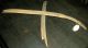Antique 1700s - 1800s Plains Native American Indian Bow Found In Indiana Cave Vafo Native American photo 1