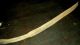 Antique 1700s - 1800s Plains Native American Indian Bow Found In Indiana Cave Vafo Native American photo 8