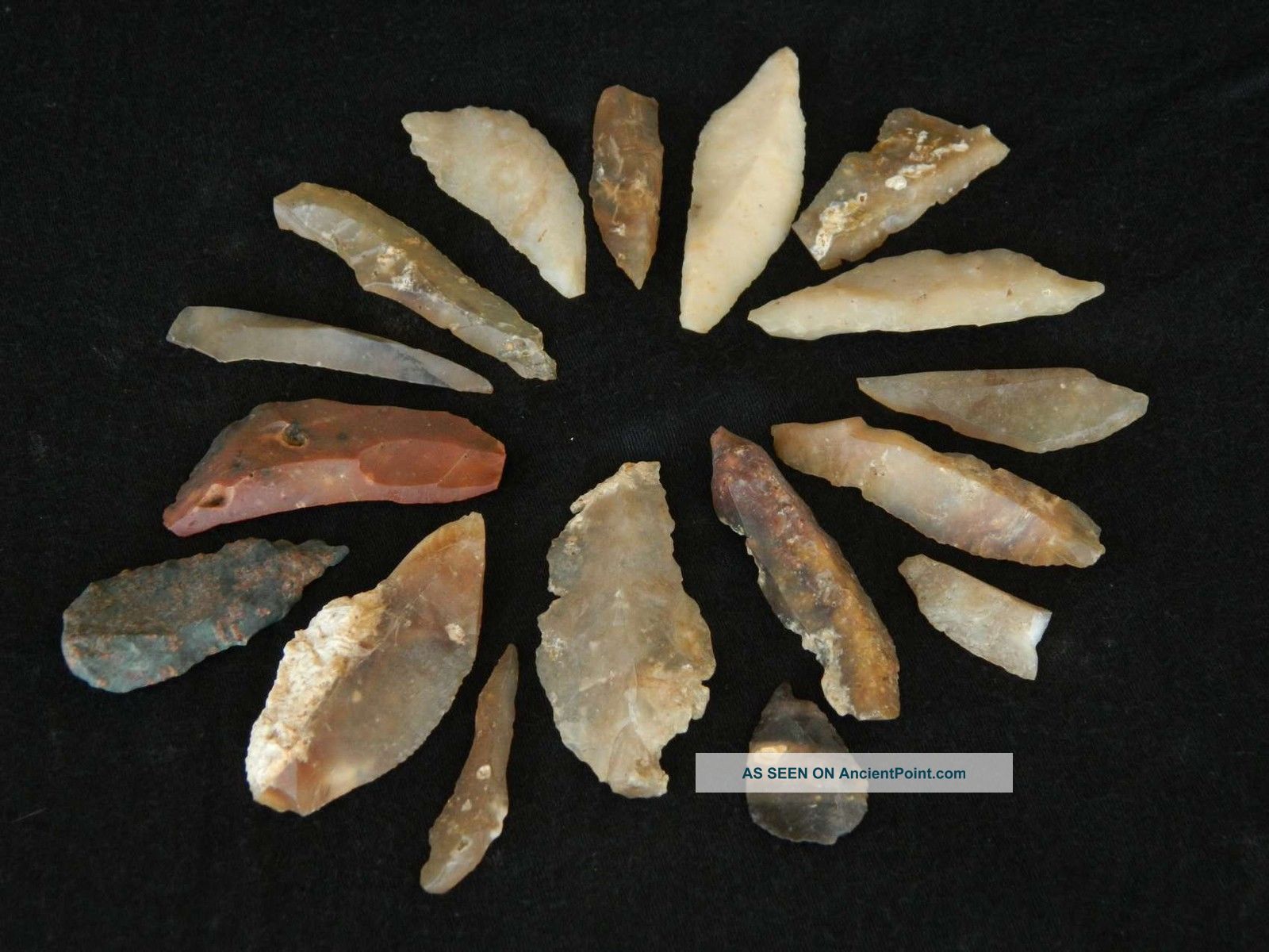 16 Flint Projectile Armatures Saharian Upper Paleolithic Neolithic & Paleolithic photo