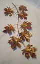 Mid Century Brass And Copper Maple Leaf Sculpture Mid-Century Modernism photo 1