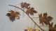 Mid Century Brass And Copper Maple Leaf Sculpture Mid-Century Modernism photo 2