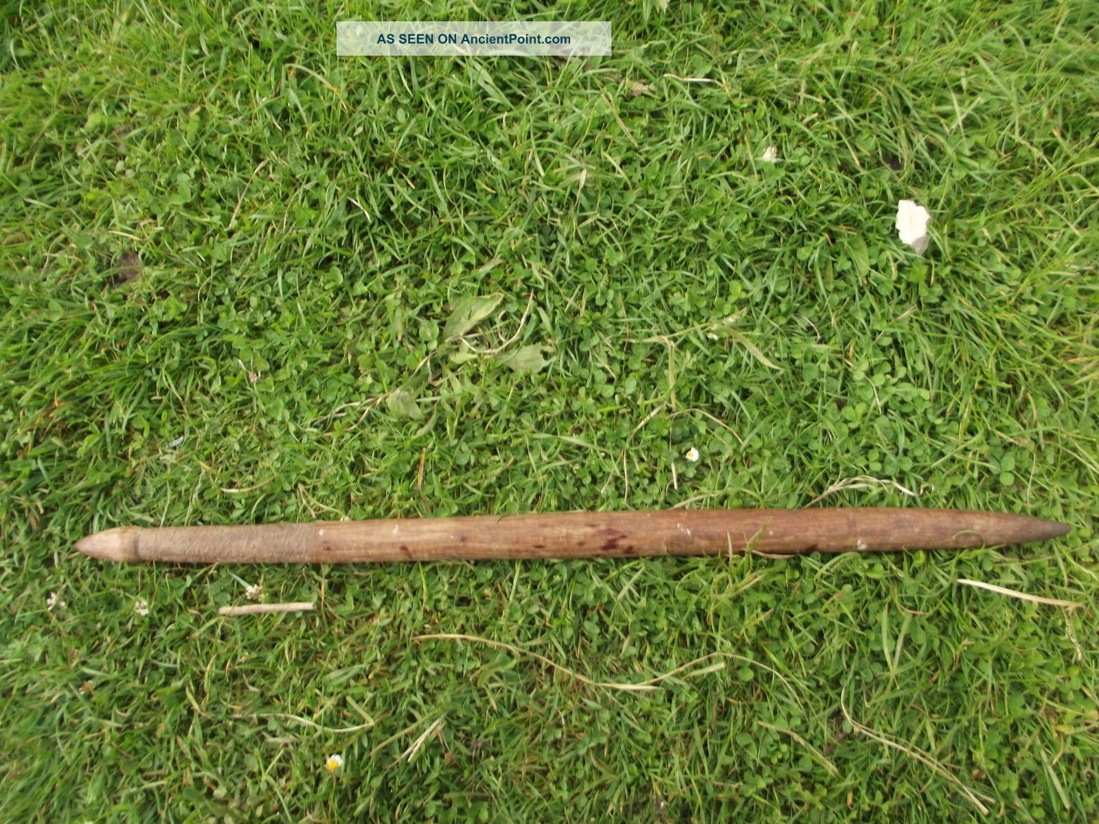 Antique Vintage Hard Wood Aboriginal Digging Stick Made From Mulga Wood. Pacific Islands & Oceania photo