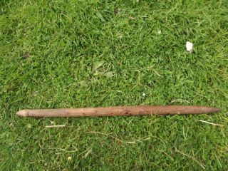 Antique Vintage Hard Wood Aboriginal Digging Stick Made From Mulga Wood. photo