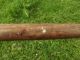 Antique Vintage Hard Wood Aboriginal Digging Stick Made From Mulga Wood. Pacific Islands & Oceania photo 3