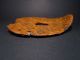 Extremely Rare Huge Roman Period Iron Horse Shoe And Horse Bit,  Found Together, Roman photo 2