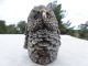 Fantastic Detailed Solid 925 Sterling Silver Owl Figurine Detail 223 Grams Other Antique Sterling Silver photo 3