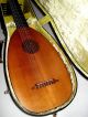 7 Cours Renaissance Lute From German Masterluthier Ammon Meinel Ca.  1960 String photo 1