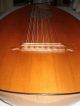 7 Cours Renaissance Lute From German Masterluthier Ammon Meinel Ca.  1960 String photo 4