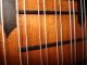 7 Cours Renaissance Lute From German Masterluthier Ammon Meinel Ca.  1960 String photo 7