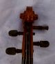 Antique French? Violin String photo 7