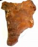 260 Gram Flint Natural Stone Resemble Hand Borer Tool Neanderthal Neolithic & Paleolithic photo 8