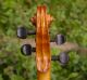 Antique Italian Labeled Viola Raphael Vaccari Lentigionensis 1927 String photo 9