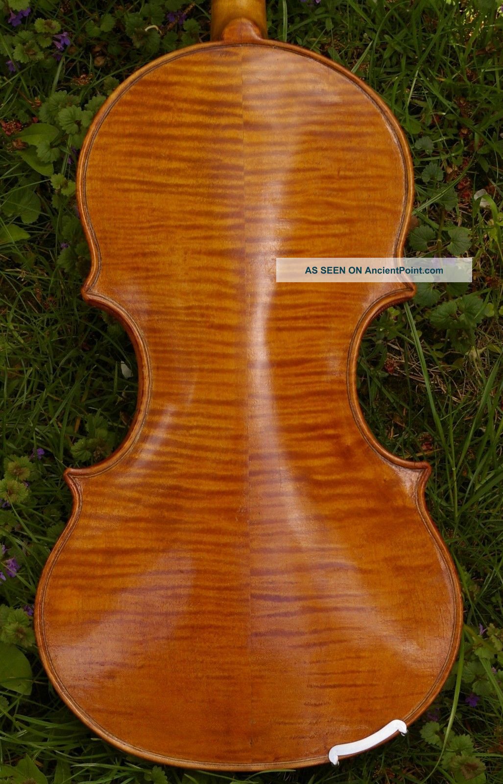 Antique Italian Labeled Viola Raphael Vaccari Lentigionensis 1927 String photo