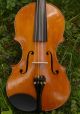 Antique Italian Labeled Viola Raphael Vaccari Lentigionensis 1927 String photo 2