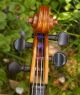 Antique Italian Labeled Viola Raphael Vaccari Lentigionensis 1927 String photo 7