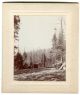12 Antique Photos,  Mining Camp & Town From The 1800 ' S,  Pennsylvania? Mining photo 2