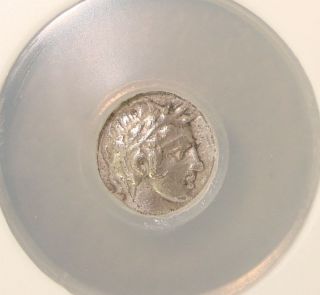 4th Century Bc Troas,  Neandria Ancient Greek Silver Obol Ngc Choice Xf 5/5 3/5 photo